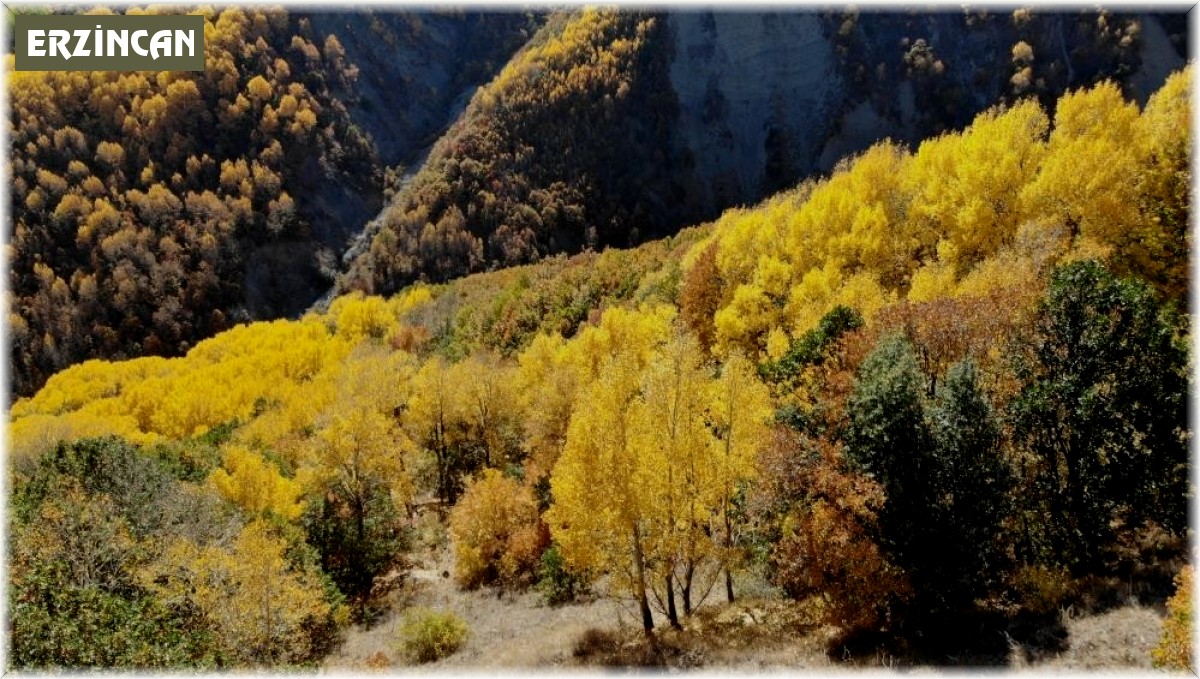 Erzincan'da sonbaharda renk cümbüşü
