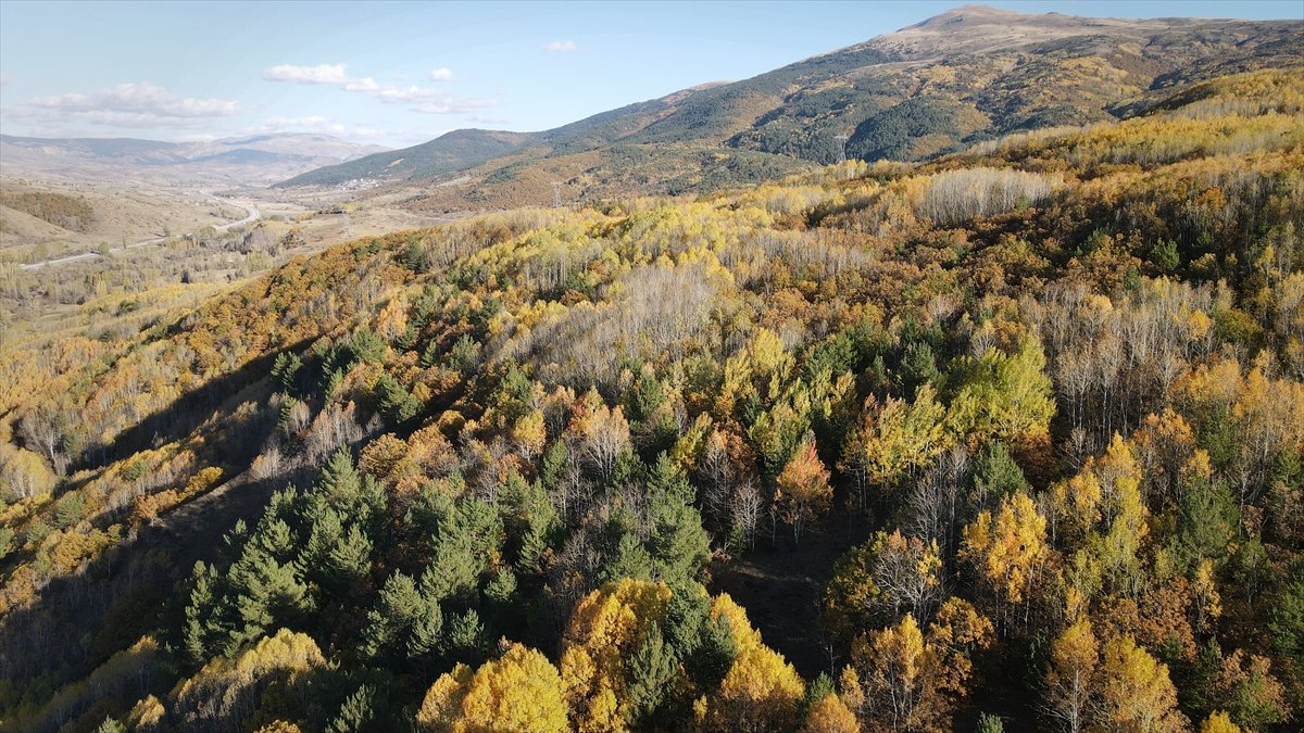 Erzincan'da sonbaharın güzelliğini yansıtan ormanlar dronla görüntülendi