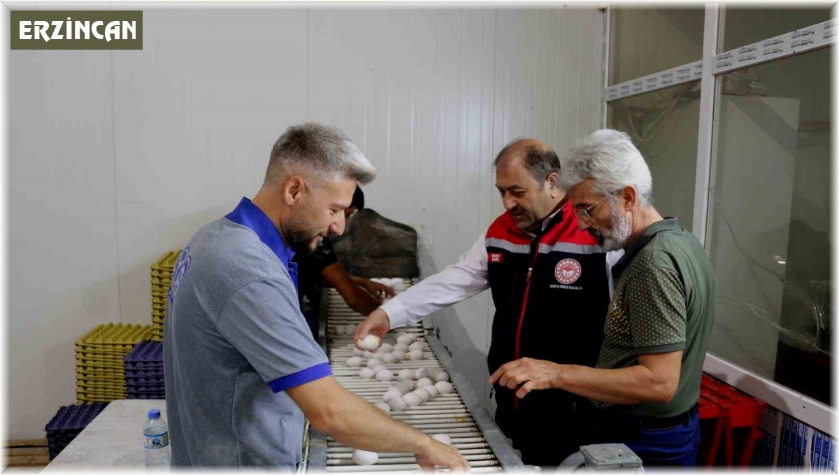 Erzincan'da tam otomatik tesislerde üretilen yumurtalar tarıma değer katıyor