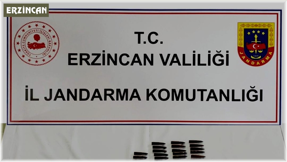 Erzincan'da terör operasyonu