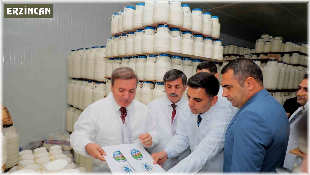 Erzincan'da tescilli tulum peyniri satışı artacak