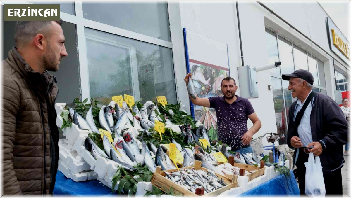 Erzincan'da tezgahlarda balık yerini aldı