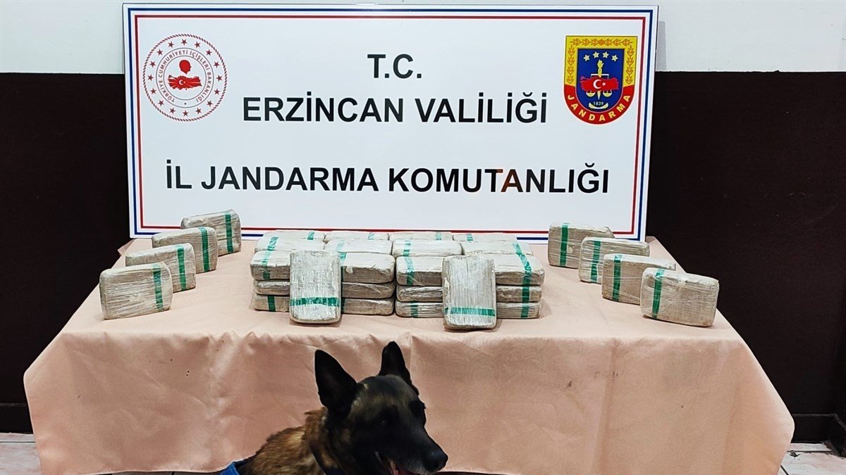 Erzincan'da tır içerisinde 25 kilo 720 gram eroin ele geçirildi