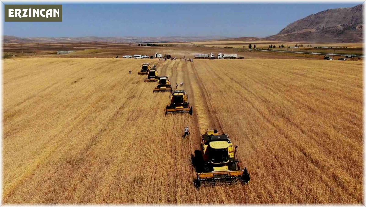 Erzincan'da TMO'nun, 1 Eylül olarak belirlediği hububat alım süresi 21 Eylül'e uzatıldı
