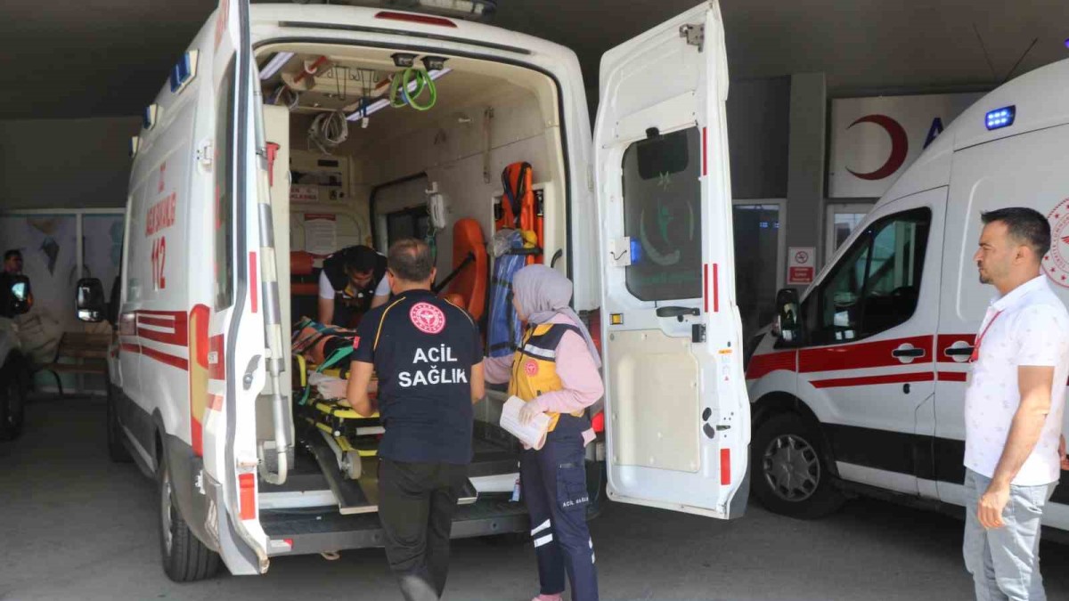 Erzincan'da trafik kazası: 1 ölü, 3 yaralı