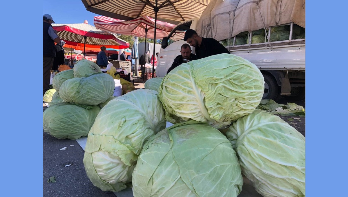Erzincan'da turşuluk ve yemeklik lahanalar tezgahta yerini aldı