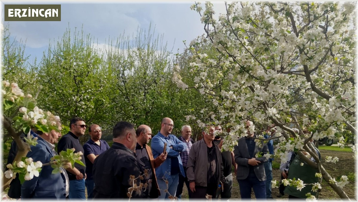 Erzincan'da uygulamalı "Meyve Ağacı Budama" kursu verildi