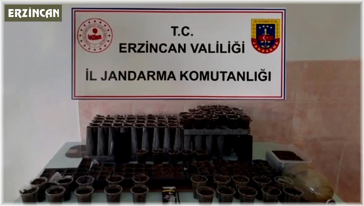 Erzincan'da uyuşturucu operasyonu: 1 kişi tutuklandı