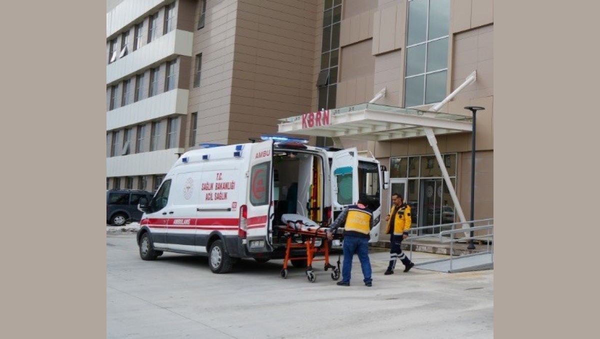 Erzincan'da üzüm bağında çalışan vatandaşa ayı saldırdı