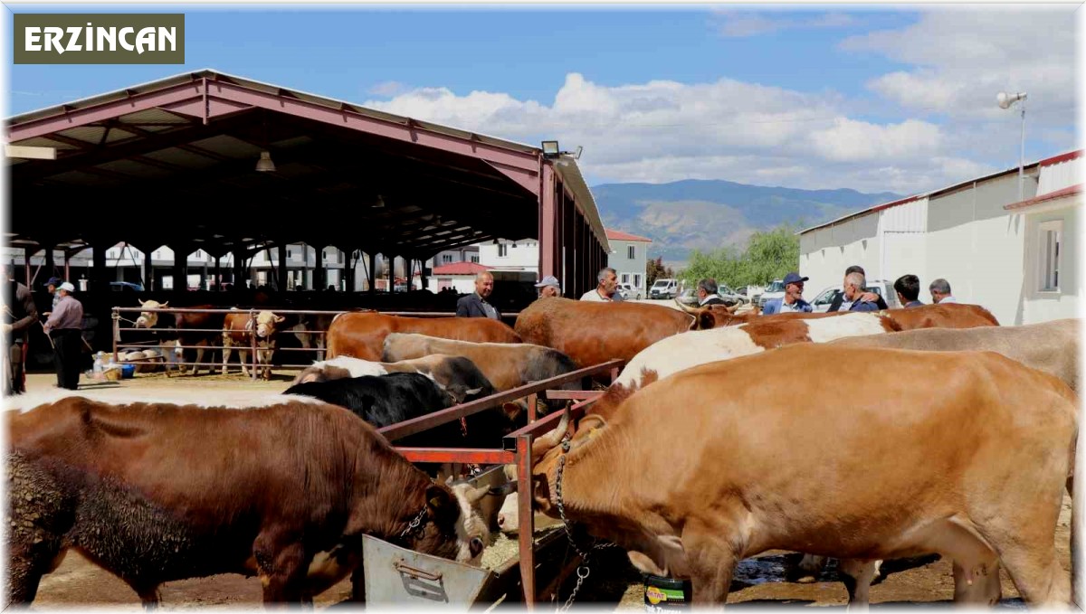 Erzincan'da vatandaşlar kurbanlık almak için arefe gününü bekliyor