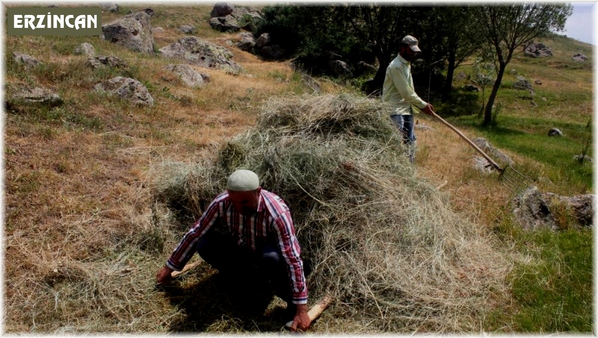 Erzincan'da vatandaşların kış hazırlığı