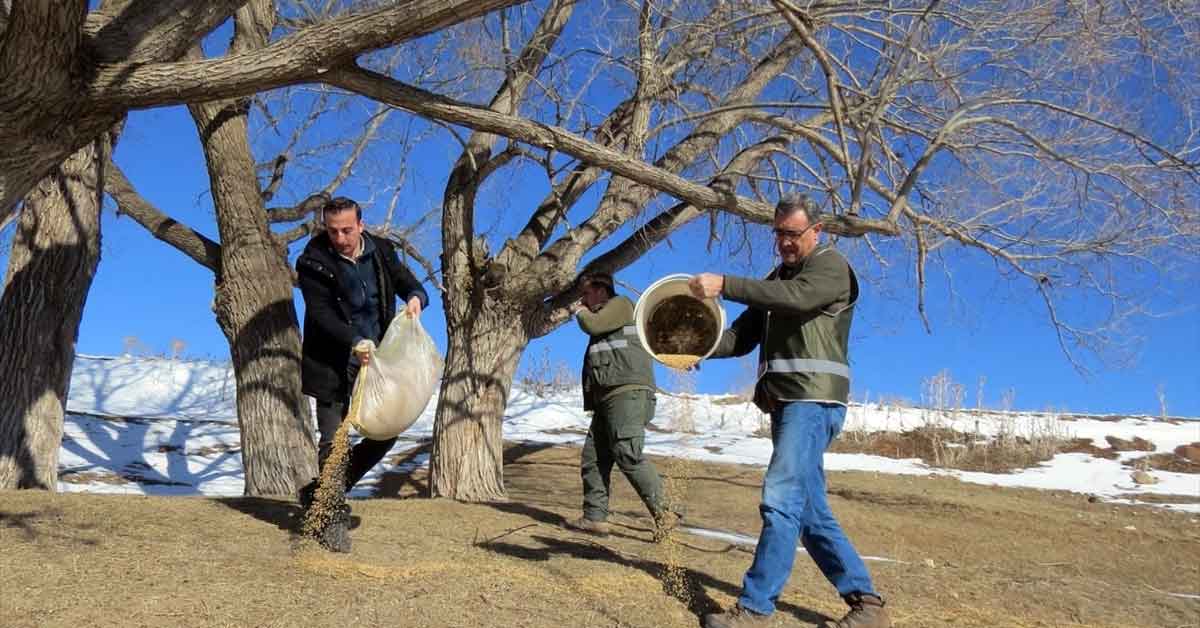 Erzincan'da yaban hayvanları için doğaya yem bırakıldı