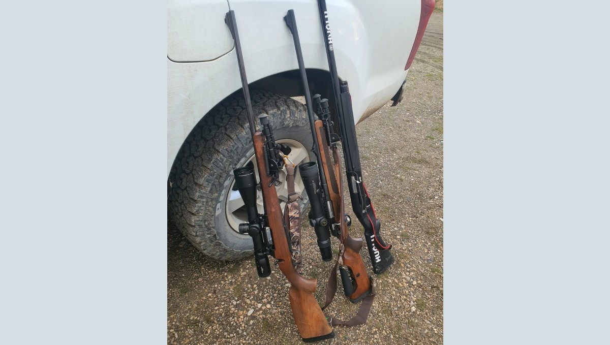 Erzincan'da yaban keçisi vuran 2 şahısa 970 bin 827 TL ceza uygulandı