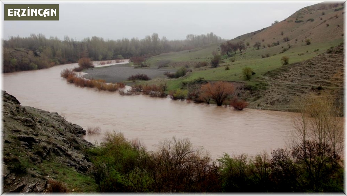 Erzincan'da yağmur nehir debilerini artırdı