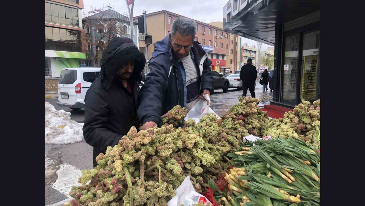 Erzincan'da 'yayla muzunun' destesi 100 ila 300 TL'den satışta