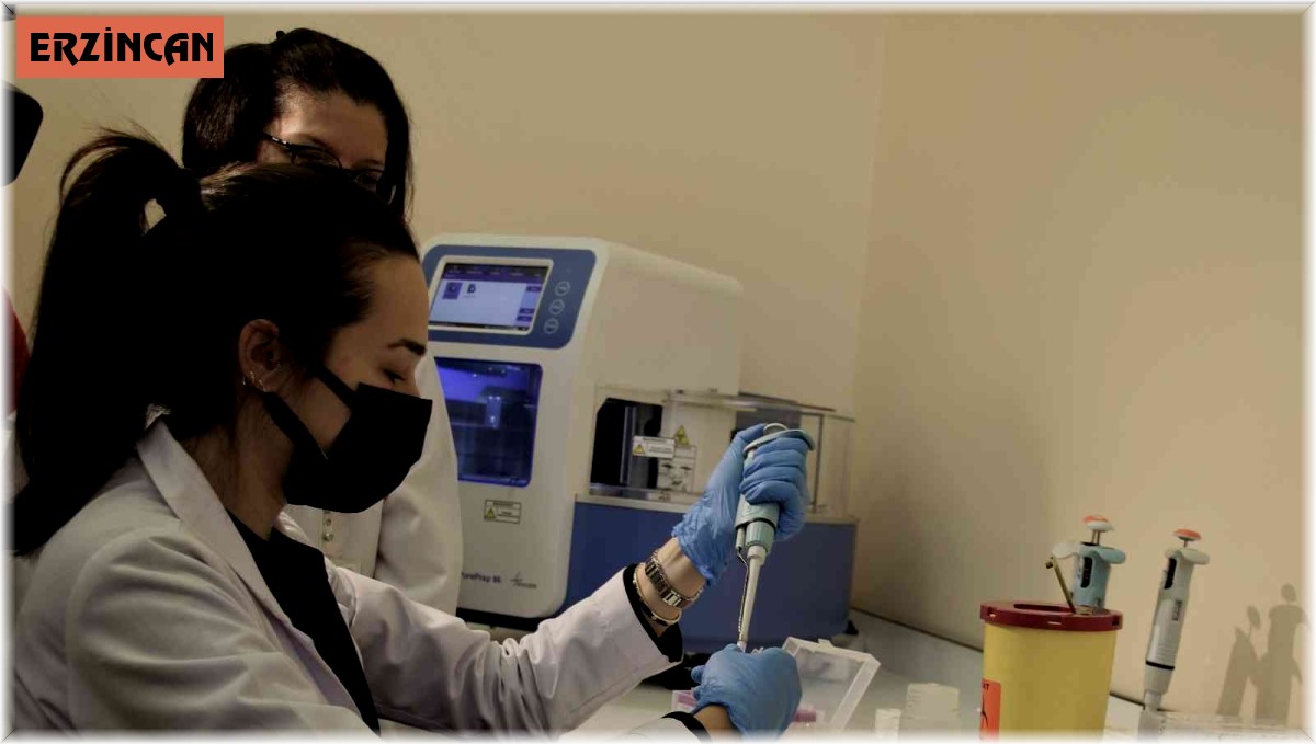 Erzincan'da yeni evleneceklere ücretsiz SMA testi yapılmaya başlandı