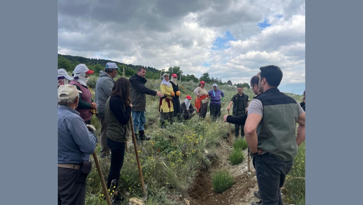 Erzincan'da yeşil vatana kadın eli değiyor