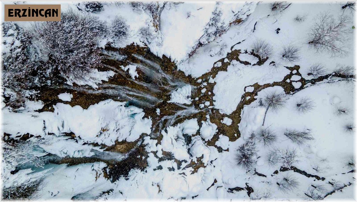 Erzincan'da yoğun kar yağışı