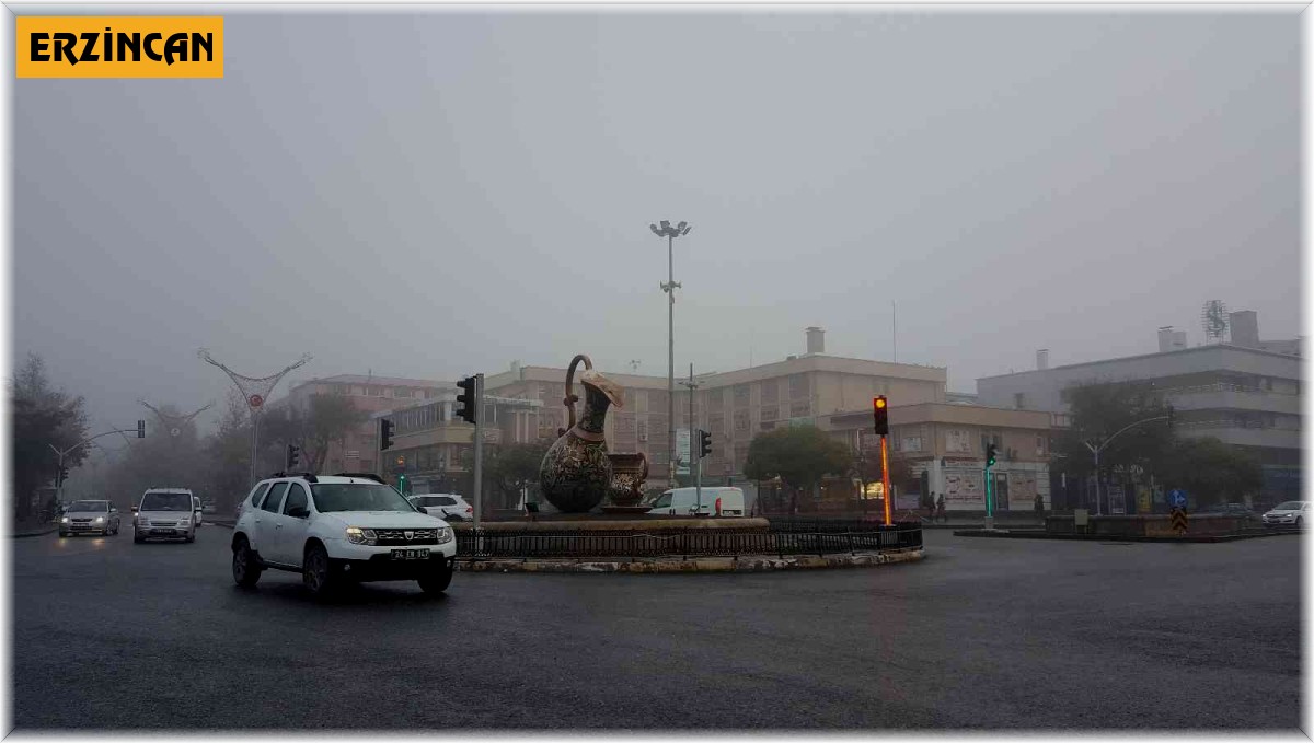 Erzincan'da yoğun sis ve pus etkili oldu