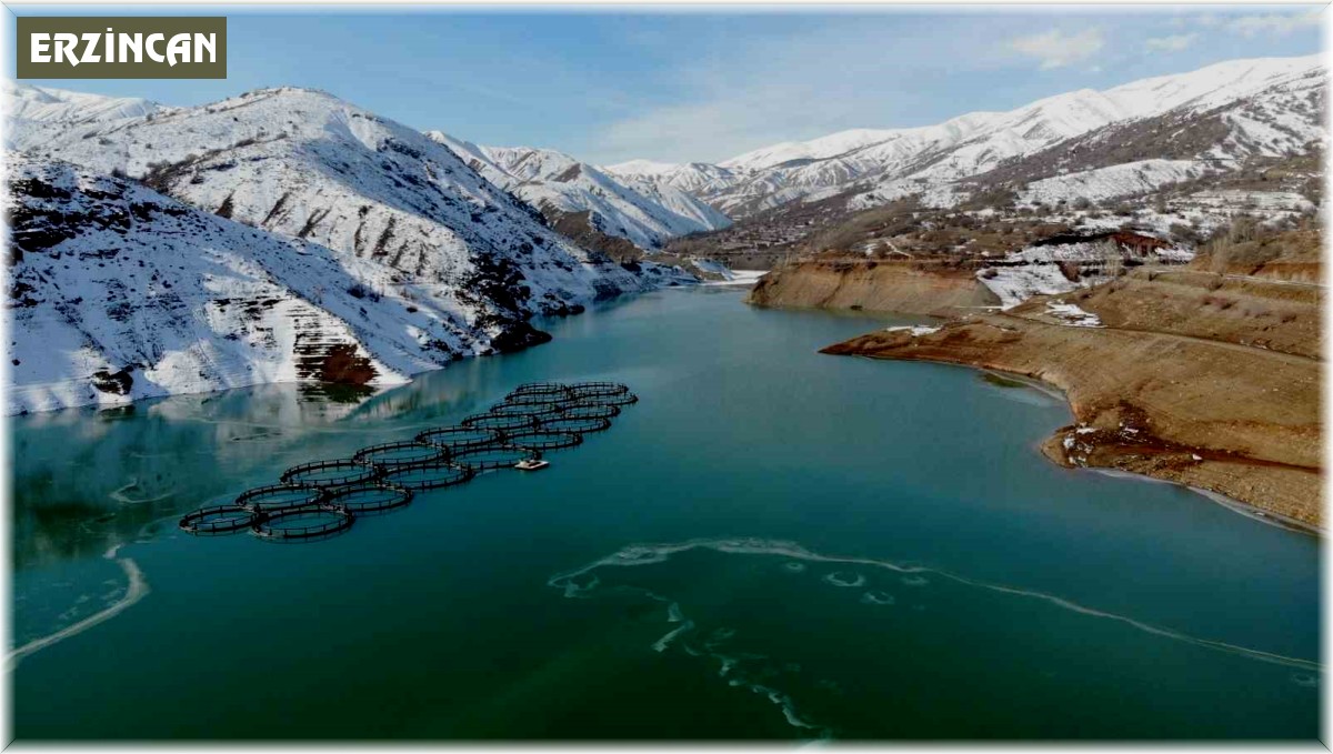 Erzincan'daki Göyne Sulama Barajı buzla kaplandı