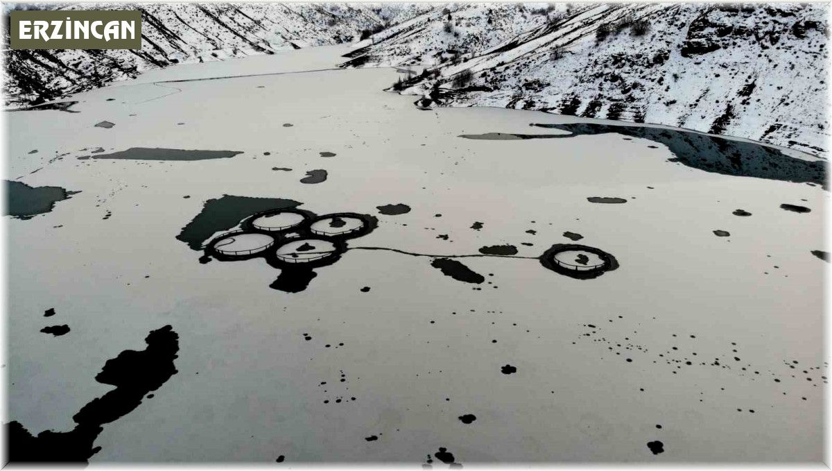 Erzincan'daki Göyne Sulama Barajı buzla kaplandı