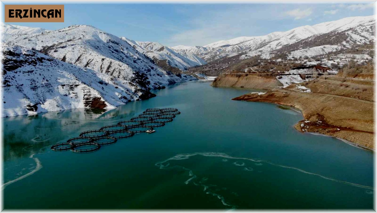 Erzincan'daki Göyne Sulama Barajı buzla kaplandı