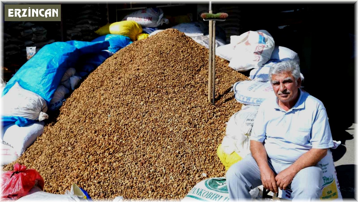 Erzincan'dan Malatya'ya 30 ton acı kayısı çekirdeği gönderiliyor