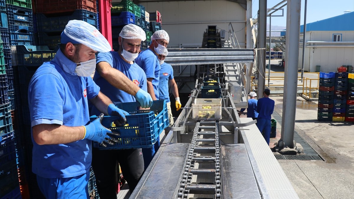 Erzincan'dan salgın döneminde dünyanın dört bir yanına meyve suyu ihracatı