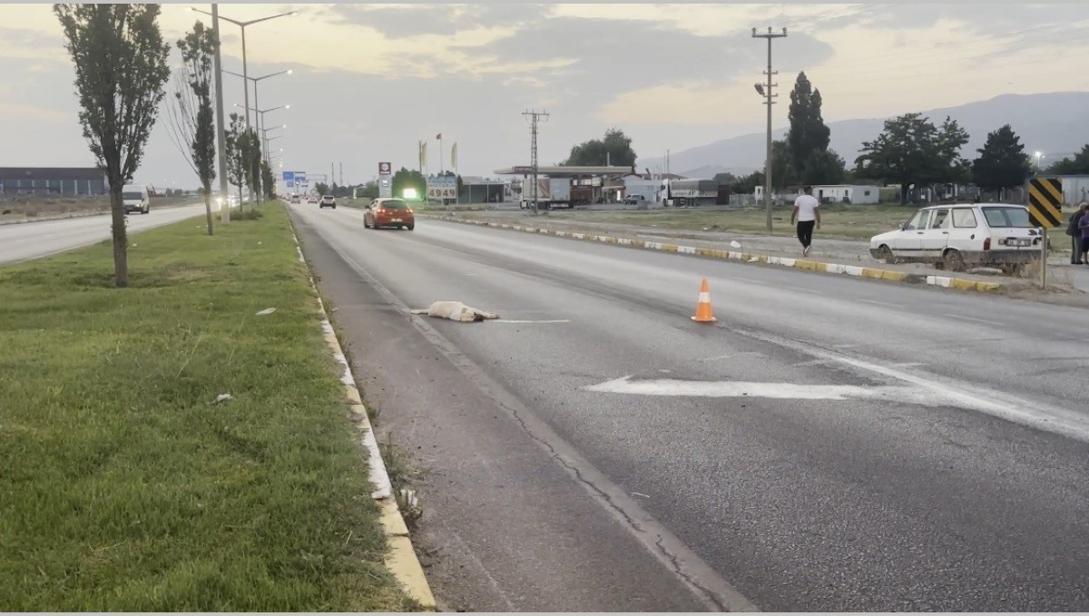 Erzincan-Erzurum kara yolunda duygulandıran görüntü