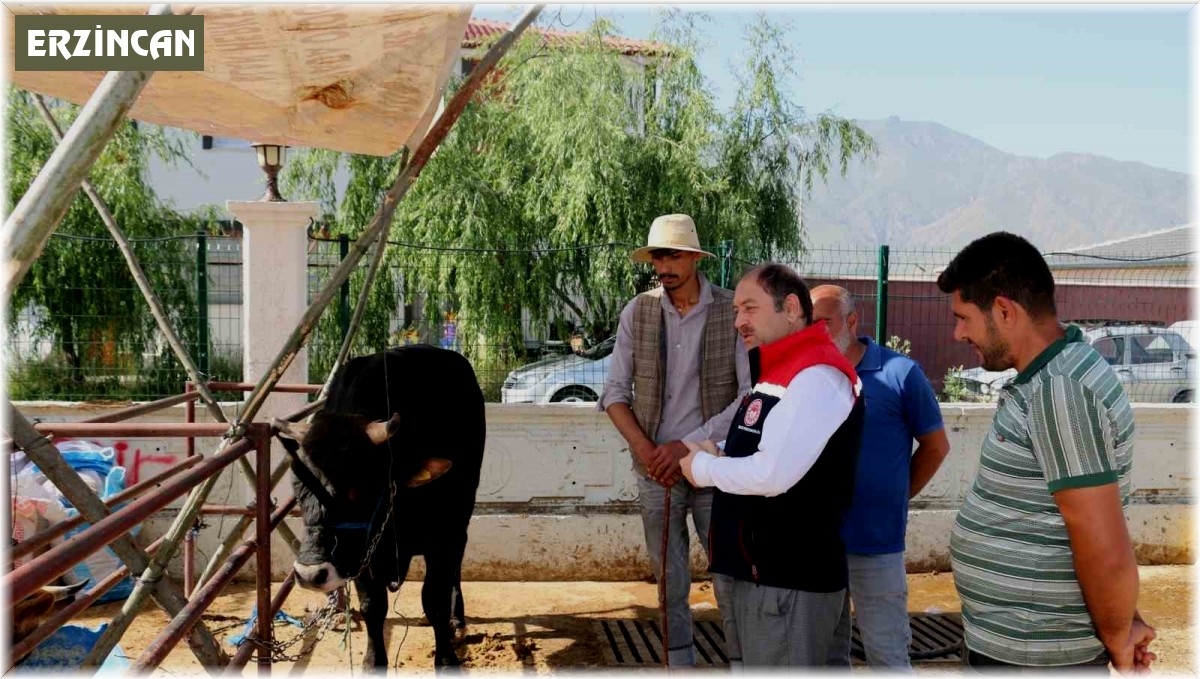 Erzincan Hayvan Pazarında denetimler sürüyor