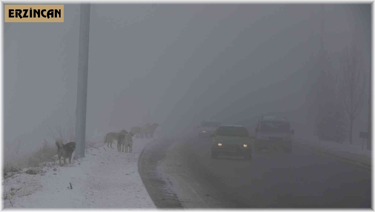 Erzincan'ı sis, pus, kırağı sardı