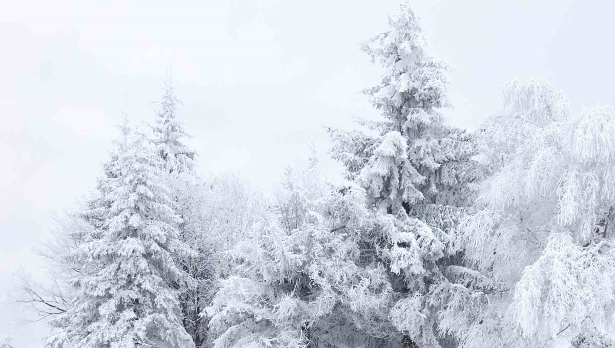 Erzincan için kuvvetli kar yağışı uyarısı