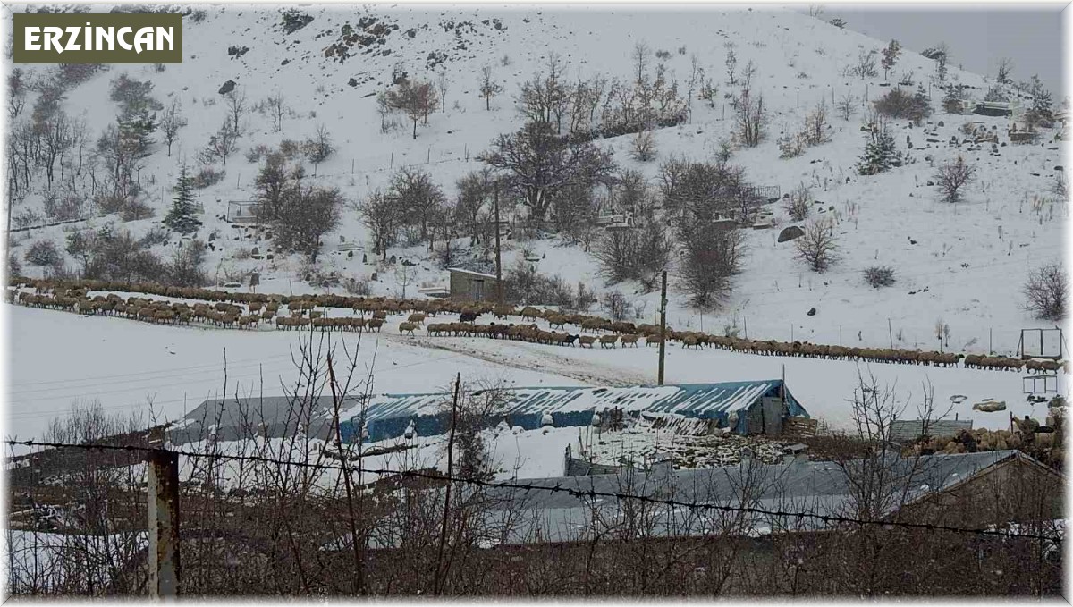 Erzincan'ın köylerinde kış mesaisi sürüyor