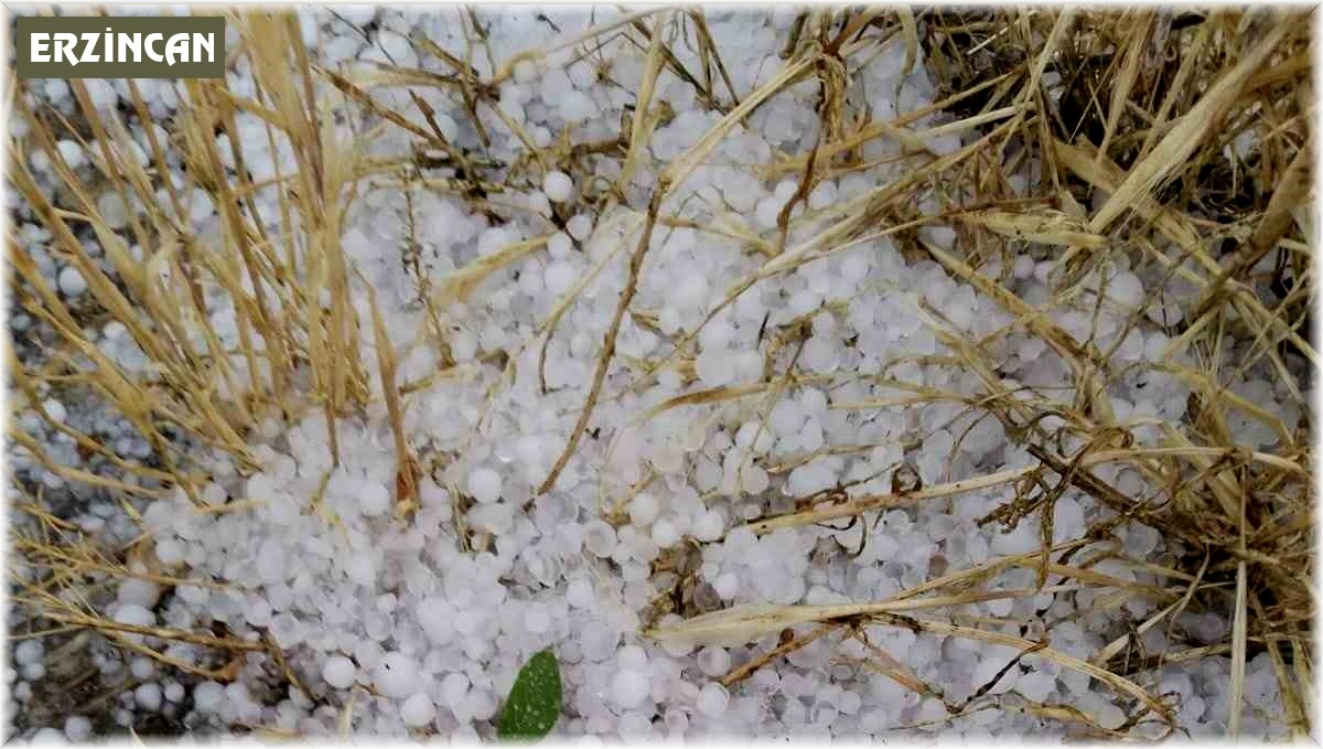 Erzincan'ın Tercan ilçesinde dolu etkili oldu