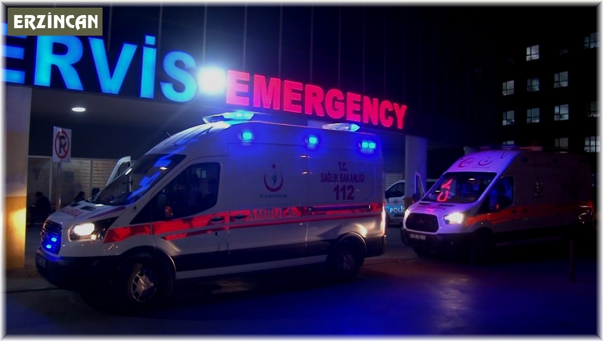 Erzincan'ın Tercan ilçesinde trafik kazası: 3 ölü, 3 yaralı