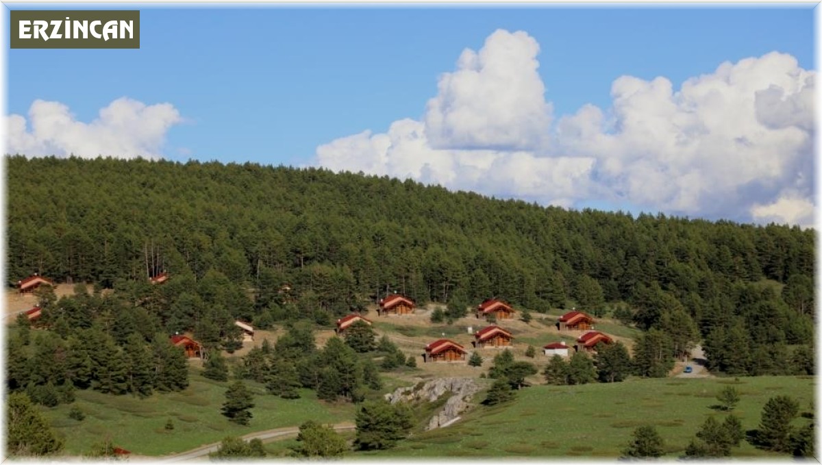 Erzincan'ın yeşil cenneti: Dumanlı Tabiat Parkı