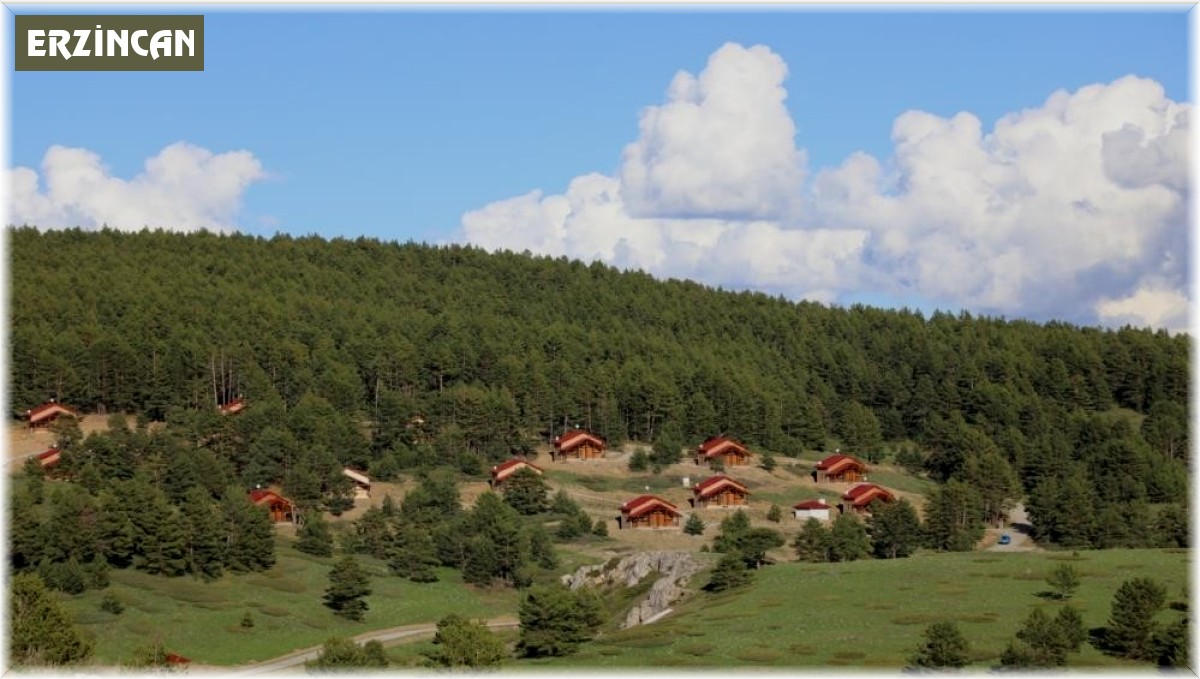 Erzincan'ın yeşil cenneti: Dumanlı Tabiat Parkı