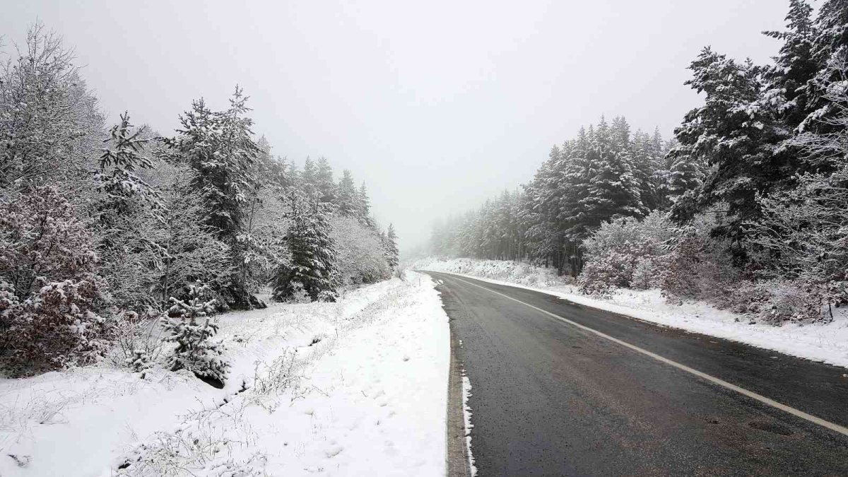 Erzincan'ın yüksek kesimlerinde kar yağışı etkili oldu