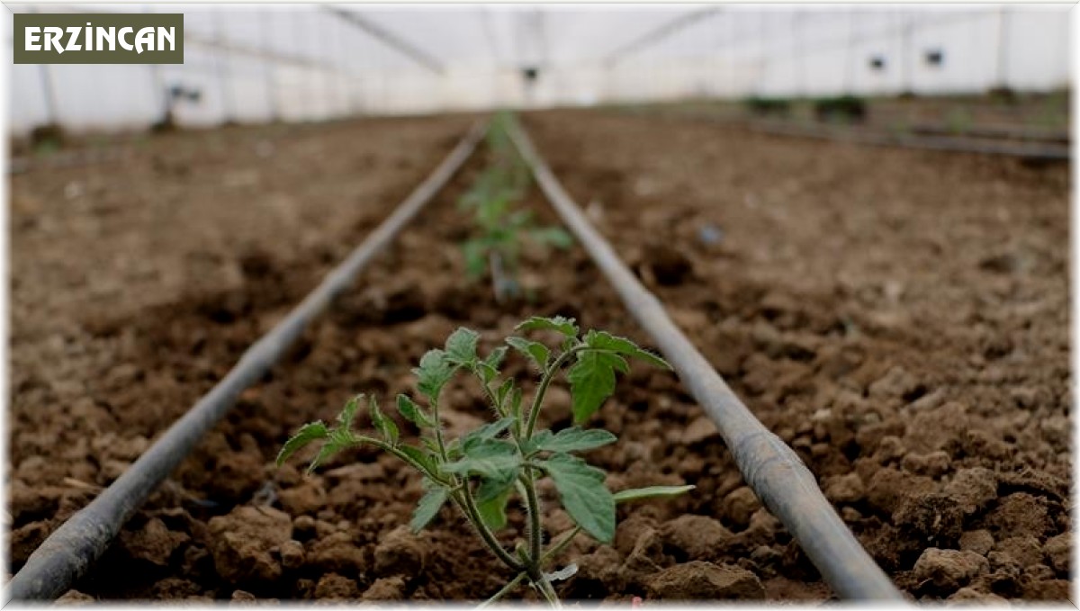 Erzincan Kent Tarım Projesi başlıyor, sera yatırımı artacak