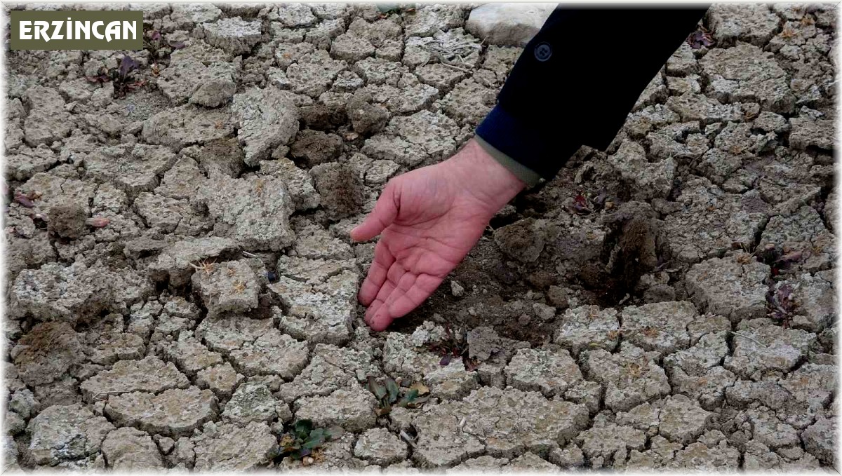 Erzincan kuraklık tehlikesi altında