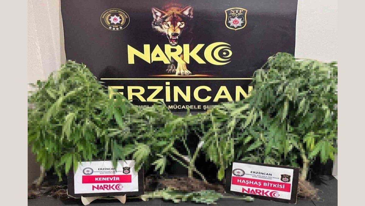 Erzincan polisi uyuşturucuya geçit vermiyor