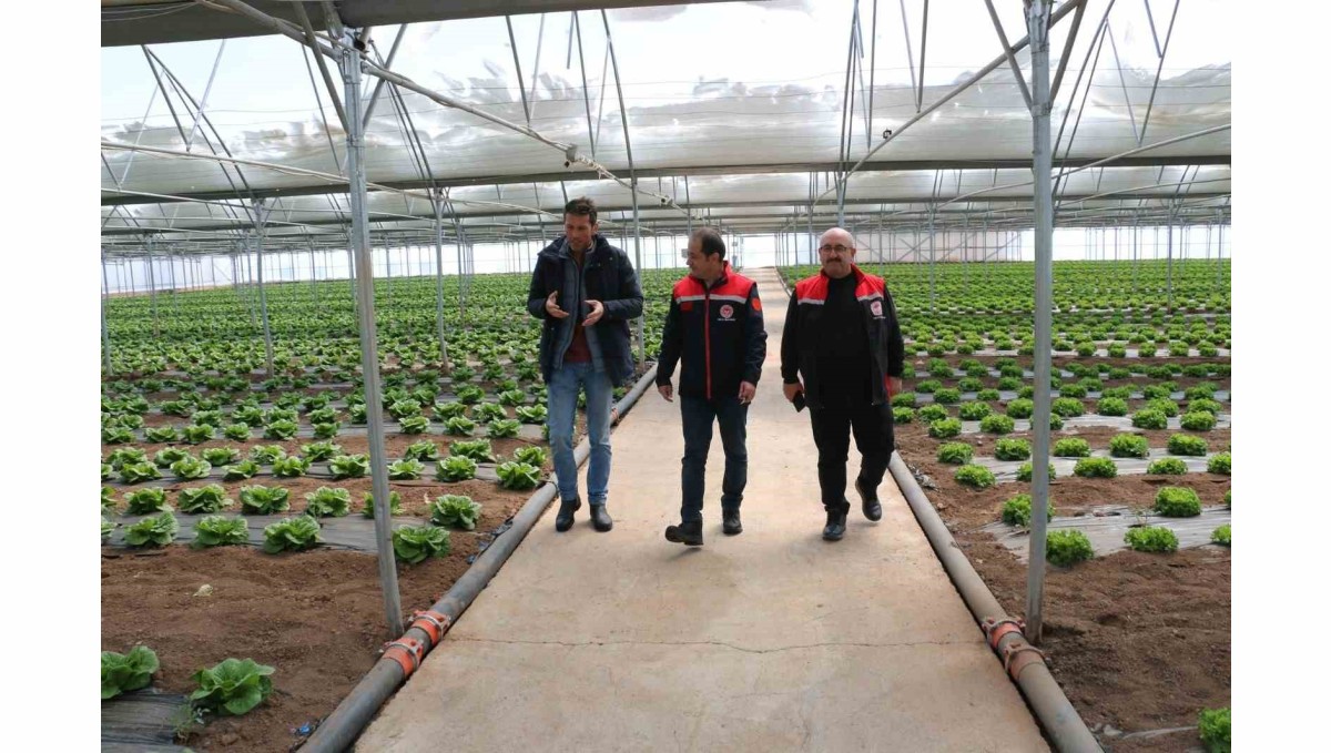 Erzincan seralarında yılda 3 ürün dönemi