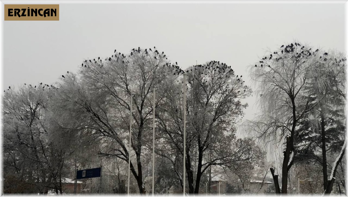 Erzincan son 40 yılın en soğuk günlerini yaşıyor