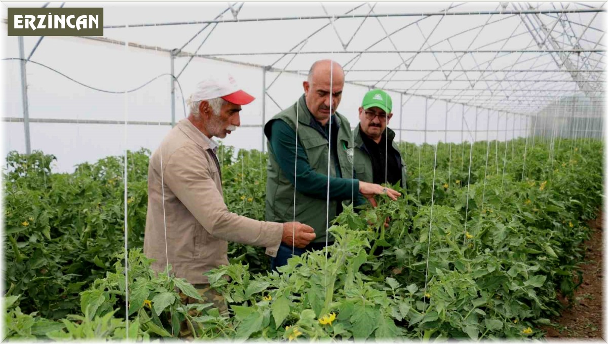 Erzincan son yıllarda yapılan yatırımların meyvelerini toplamaya başladı