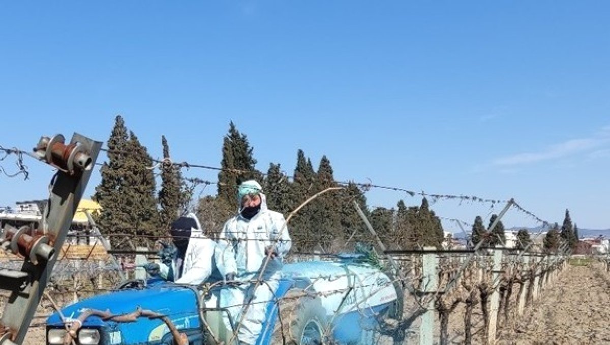 Erzincan Tarım Müdürlüğü'nden bordo bulamacı uyarısı: Uygulama zamanını kaçırmayın