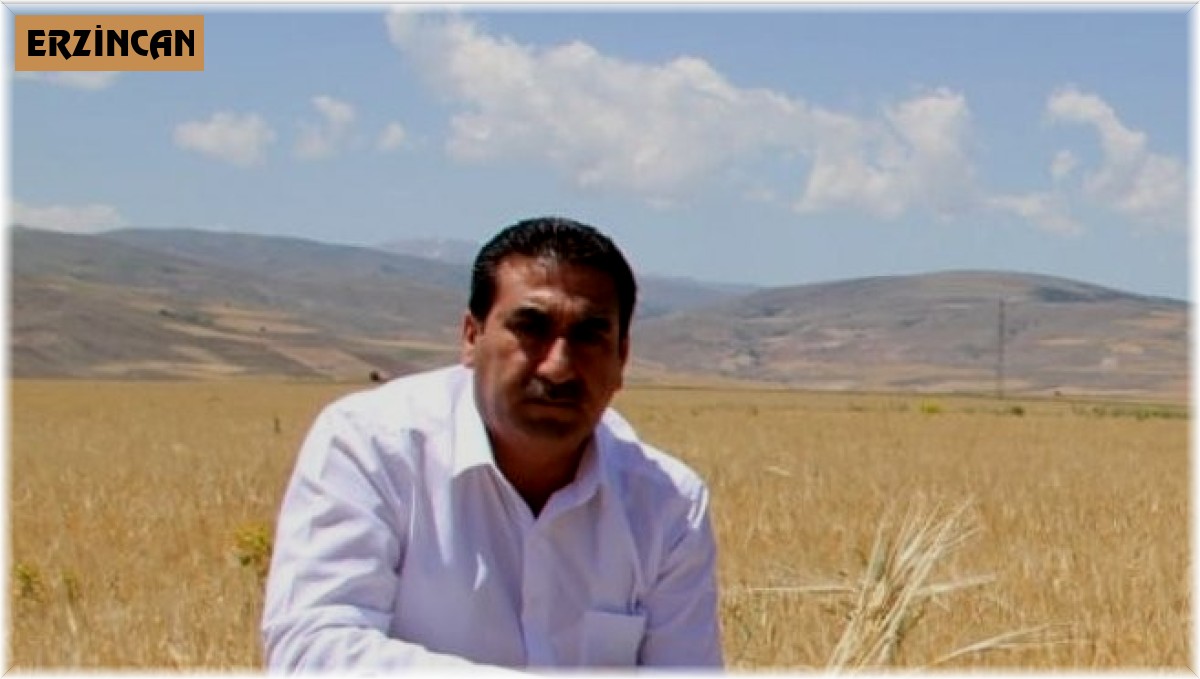 Erzincan Ziraat Odası Başkanı Geyik: "Türkiye'de buğday hasadına ramak kala sektörün fiyat beklentisi giderek artmaktadır"