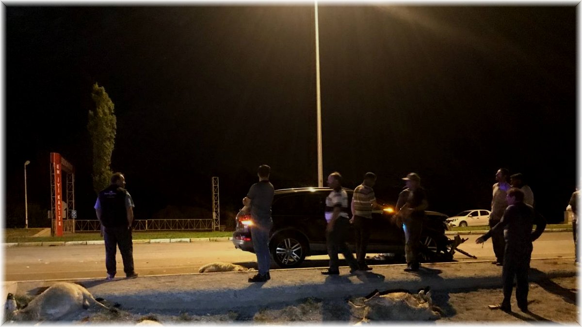 Erzincan’da otomobil sürüye daldı: 25 koyun telef oldu