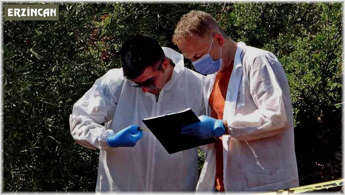 Erzincanlı gencin cansız bedeni zeytinlik alanda bulundu