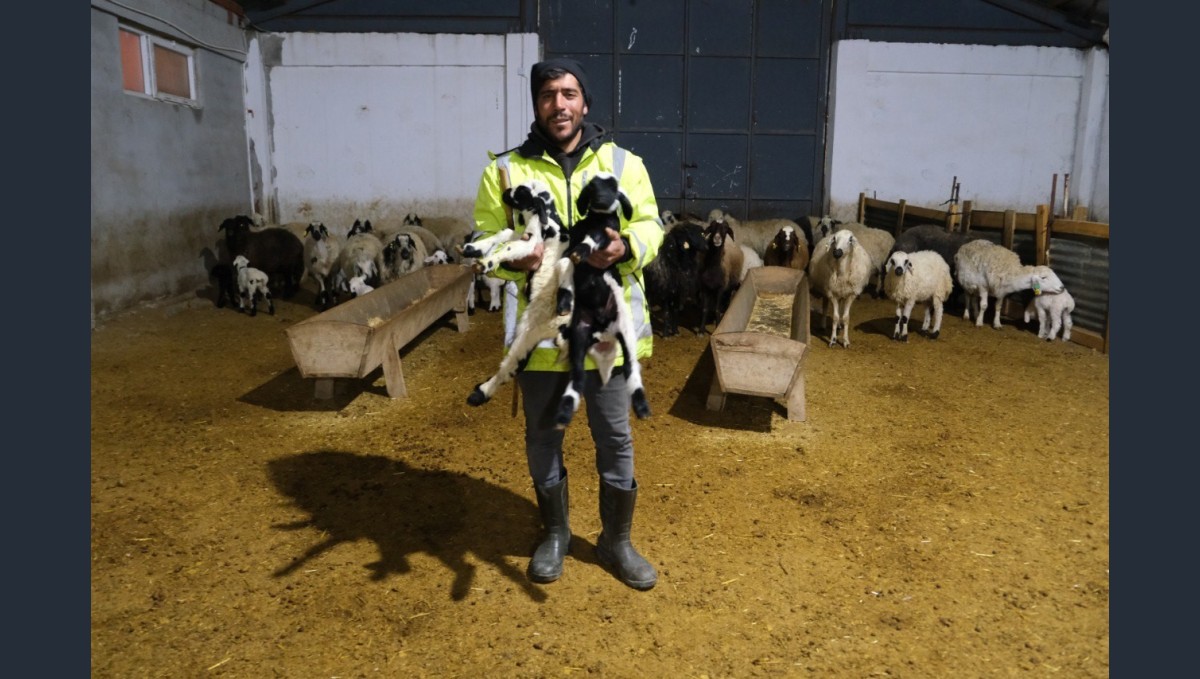 Erzincanlı üretici yüzde 50 hibe desteğiyle 8 Milyon TL'lik çiftlik kurdu