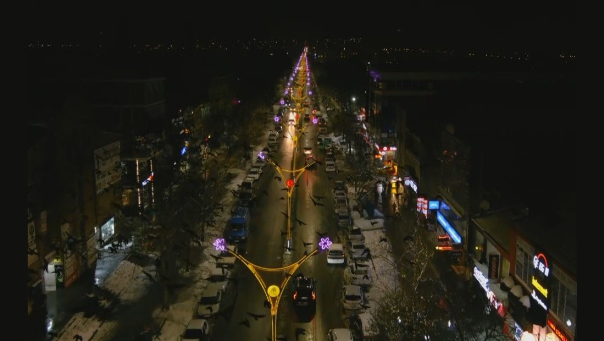 Erzincanlıların başı kargalarla dertte